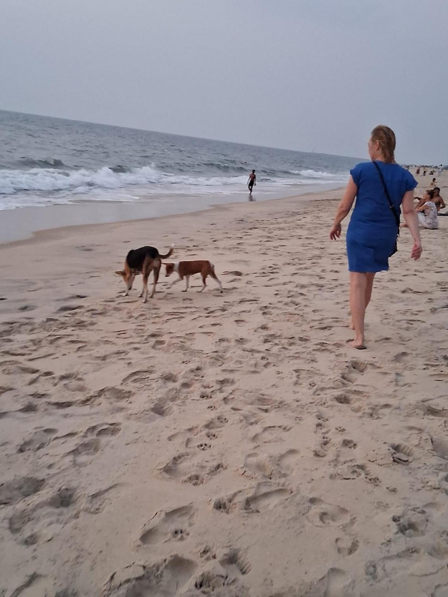 Shoreline Marari Beach Villa At Golden Beach Mararikulam Alappuzha Εξωτερικό φωτογραφία