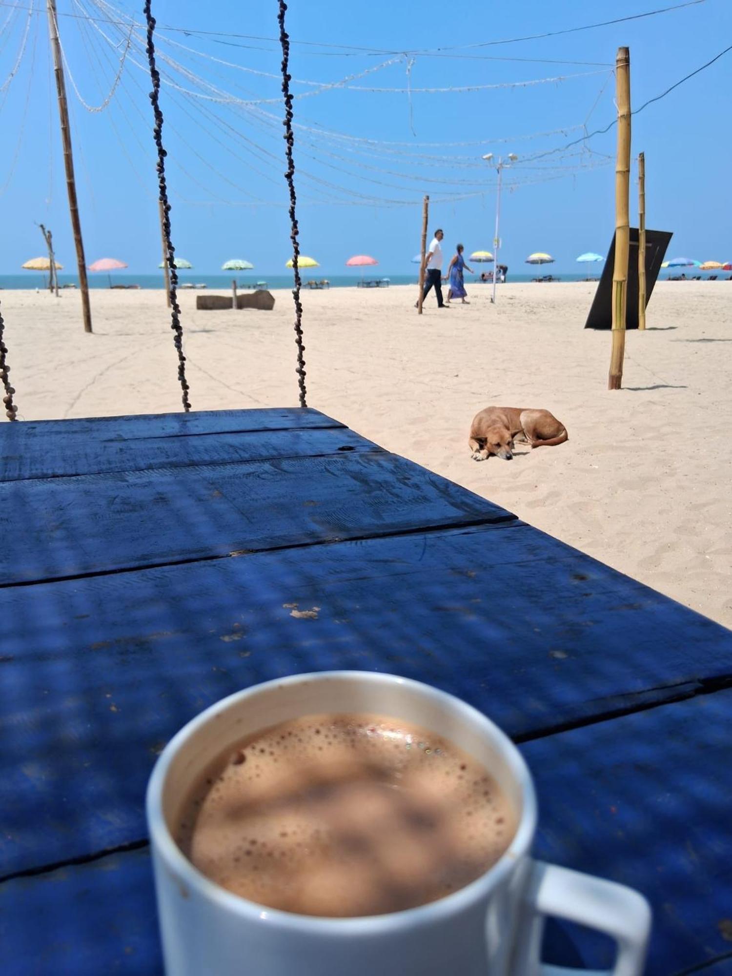 Shoreline Marari Beach Villa At Golden Beach Mararikulam Alappuzha Εξωτερικό φωτογραφία